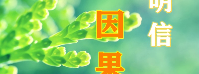 分类： <span>明信因果</span>