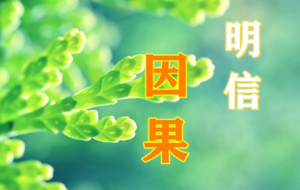 明信因果